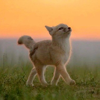 Логотип @behappy_and_love_nature - May All Beings Be Happy ✨💕