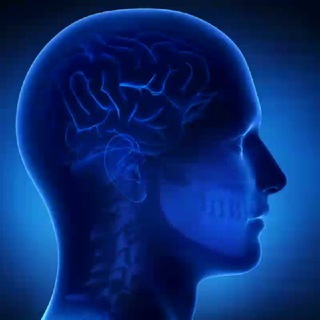 Логотип @behavioral_space - КОГНИТИВНОЕ ИСКАЖЕНИЕ