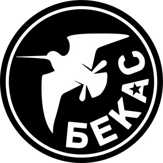 Логотип @bekasdron - FPV-дроны «Бекас»🫡🇷🇺