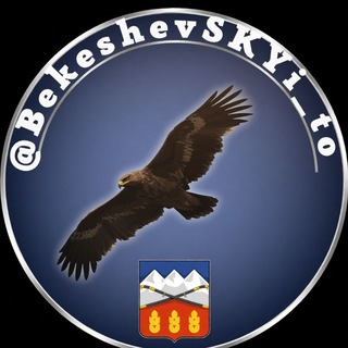 Логотип @bekeshevskyi_to - Бекешевский ТО🦅