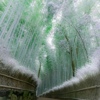 Логотип @bekkurtoyy - 🖤🥀Da̷Vo̷M Et̷Ad̷i̷ Ha̷YOt̷