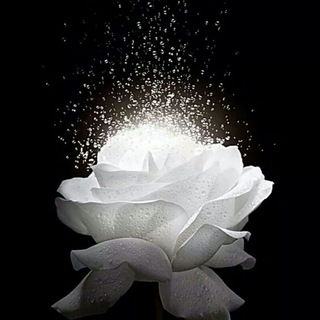 Логотип @bekorchi2020 - ͜͡͡꧁͜͡࿇͜͡𖣐͜͡✵σиℓιиє ¢нαт✵͜͡ ͜͡𖣐͜͡࿇͜͡꧂͜͜͡: