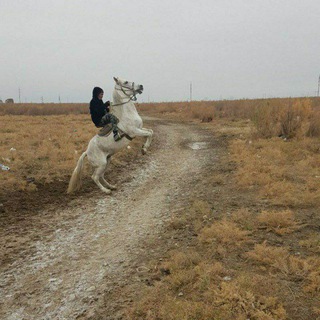 Логотип @bekorchilar02 - 🤷‍♂BILMASVOYLAR🤷‍♂