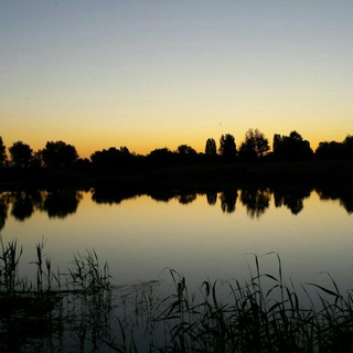 Логотип @bel_podrobnosti - БелГородские подробности