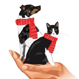 Логотип @belantavet - Ветклиника Беланта