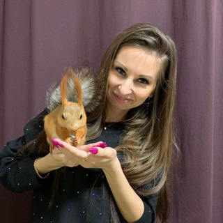 Логотип @belchon0k_v_domee - Бельчонок в доме