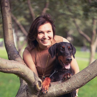 Логотип @believeindogs - Не чушь собачья 🐕