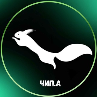 Логотип @belka_chipa - В поисках Гайки