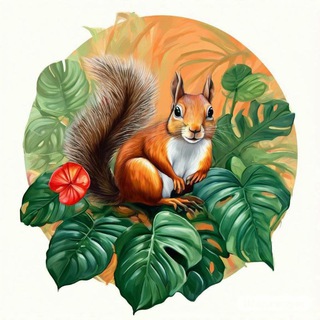 Логотип @belka_flowers1 - Belka_flowers🌱 Ароидные и другие