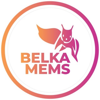 Логотип @belkamemes - Belka Memes