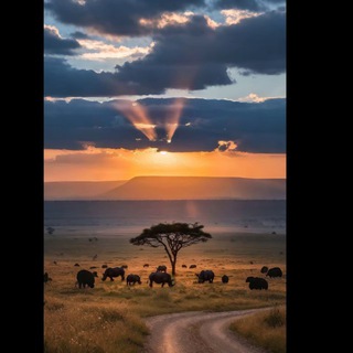 Логотип @bellescitations - 𝘽𝙀𝙇𝙇𝙀𝙎 𝘾𝙄𝙏𝘼𝙏𝙄𝙊𝙉𝙎 🌹