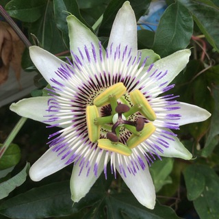 Логотип @bello_da_vedere - 🌸 Bello da Vedere 🌍