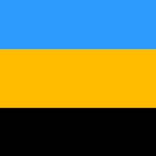 Логотип @belnarrepublic - Белгородская Народная Республика