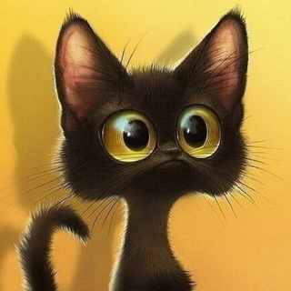 Логотип @beloffwpi - BELOFF • БЕЛOFF