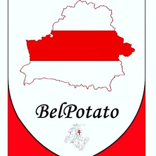 Логотип @belpotato_belarus - BelPotato _ Беларусь. Новости. 🤍❤️🤍