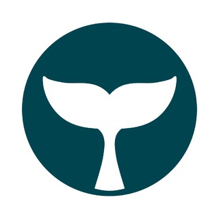 Логотип @belugapayicoru - BelugaPay ICO RU