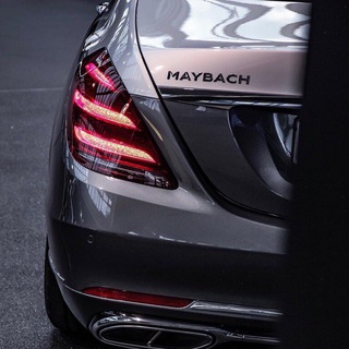 Логотип @belyybear - music_belyyBear