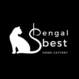 Логотип @bengalbestlife - Bengal Best cattery 🐆