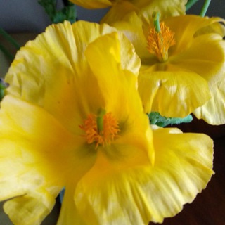 Логотип @benipreguntas - INFO-FORMACION Preguntas.