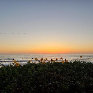 Логотип @benpolyaam2 - Группа "𝙱𝚎𝚗𝚎𝚏𝚒𝚝𝚜 𝚏𝚛𝚘𝚖 𝙿𝚘𝚕𝚢𝚊𝚊"