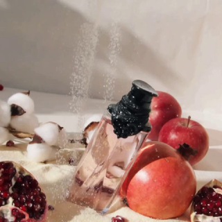 Логотип @berdnikova_photovideo - Фото, видео и инфографика для маркетплейсов 📸