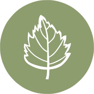 Логотип @bereza_knife - BERËZA. НОЖИ ДЛЯ КУХНИ