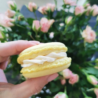 Логотип @berezkina_pro - Berezkina_vs