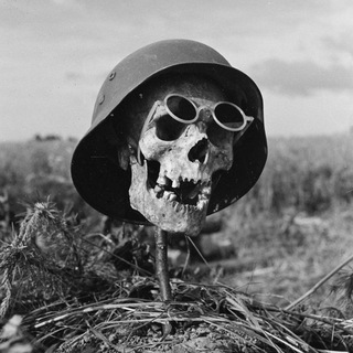 Логотип @berghof88 - Berghof