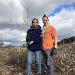 Логотип @bergwaldprojekt - Bergwaldprojekt