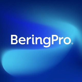 Логотип @beringpro - BeringPro | ранее BearingPoint в России