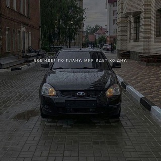 Логотип @berkut404 - BERKUT