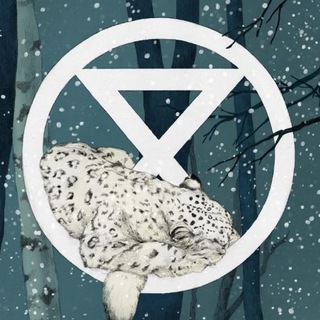 Логотип @berlinaction2020 - XR Berlin Aktion und Info