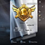 Логотип @berlinpubgstore - PUBG STORE INDIA 🇮🇳