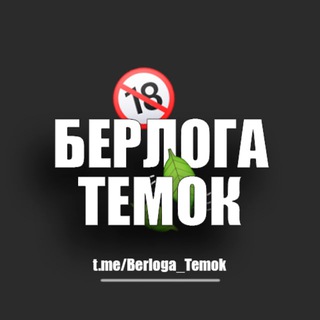 Логотип @berloga_temok - Берлога Темок 💸