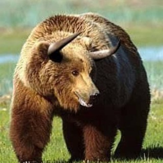 Логотип @berpath - 🐻Бычий путь Медведя🐻