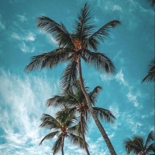 Логотип @beru_travels - ТУРЫ ☀️ ПУТЕШЕСТВИЯ 🌴 Beru_travels