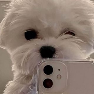 Логотип @best_beads_1 - . ◌ 𝗯𝗲𝗮𝗱𝘀 𝘄𝗼𝘄 || ᜊ ::