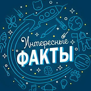 Логотип @best_facts_wd - Интересные факты