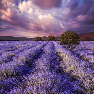 Логотип @best_friend_chatt - Дружба на веке🪐