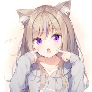 Логотип @best_kitties - те самые котики🐾