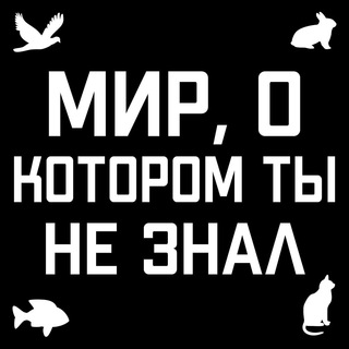 Логотип @bestanimalworld - Удивительные факты про мир животных