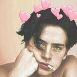 Логотип @bestfilllm - bestfilllm