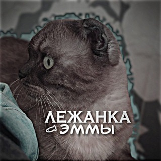 Логотип @bestik_kitty - ::𝒆𝒎𝒎𝒂.𝒄𝒂𝒕𝒔🦔