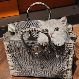 Логотип @bestluxury_bags - Best-Luxury_bags