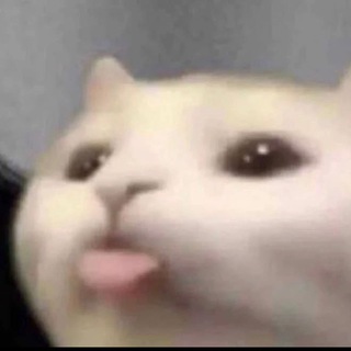 Логотип @bestmeme4chat - мемный чат