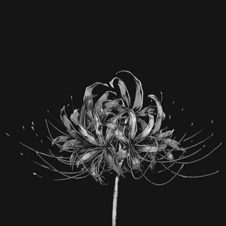 Логотип @beststandoff2players - Best Standoff2 Players