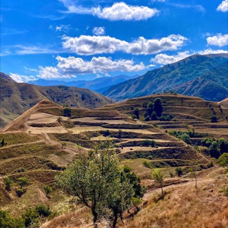 Логотип @besttravel_nature - Travel house. Путешествия Природа