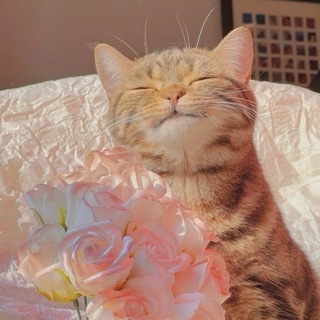 Логотип @besttt_photo - Красивые картинки