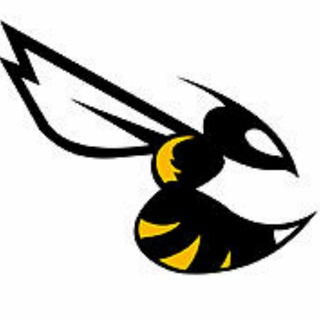 Логотип @betaflight_users - Betaflight users