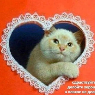 Логотип @betkoen_kupit - я еще хуже долбоеба